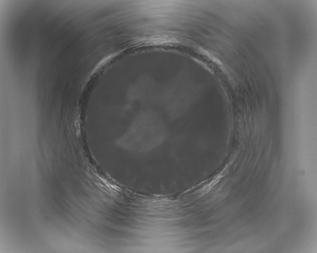 X0000073401306200608111248