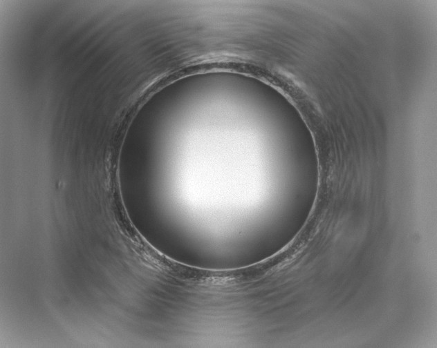 X0000073401313200608111249