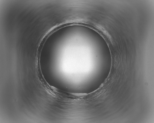 X0000073401316200608111249