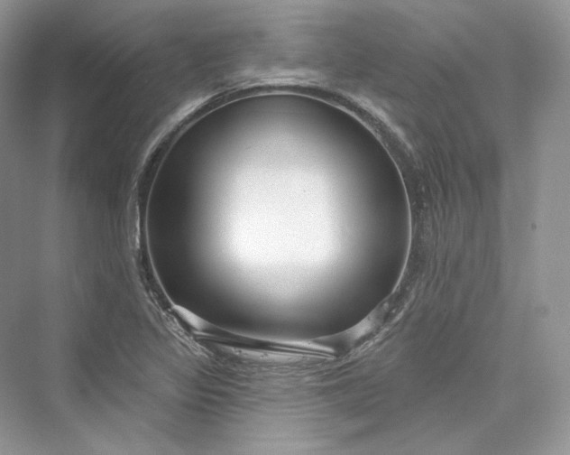 X0000073401317200608111249