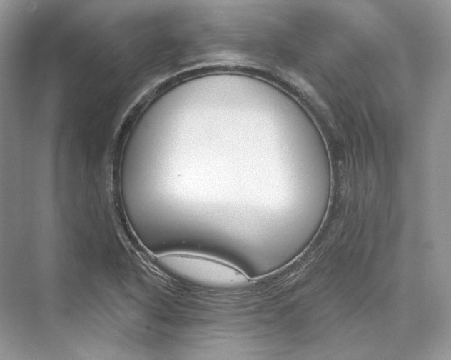 X0000073401318200608111249