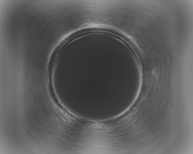X0000073401319200608111249