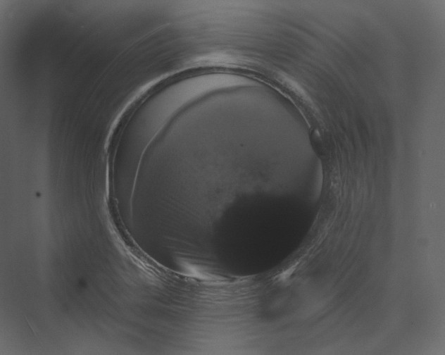 X0000073401323200608111249