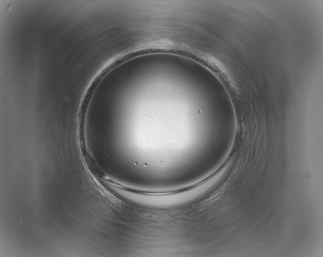 X0000073401326200608111249