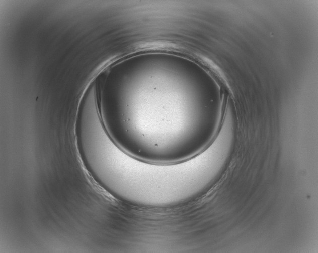X0000073401330200608111249