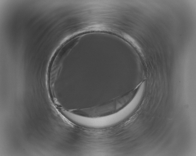 X0000073401334200608111249