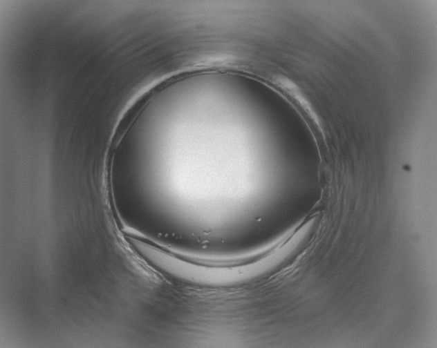 X0000073401336200608111249