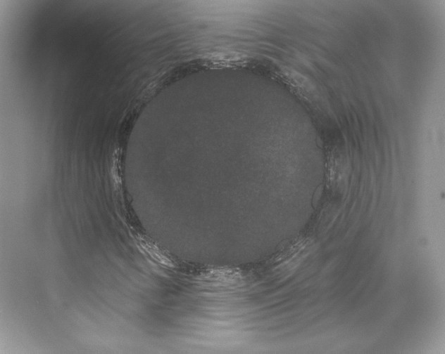 X0000073401346200608111248