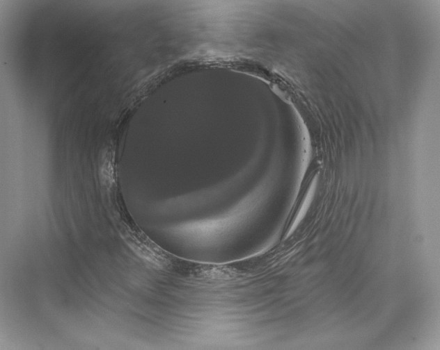 X0000073401348200608111248