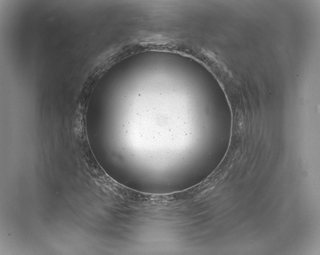 X0000073401350200608111248