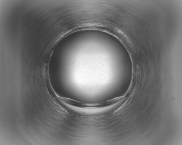 X0000073401361200608111248