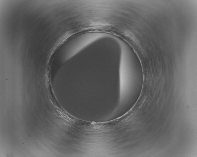 X0000073401362200608111248