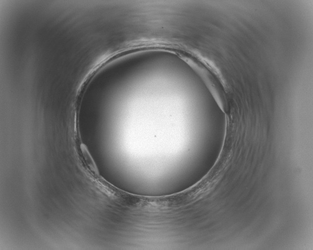 X0000073401365200608111248