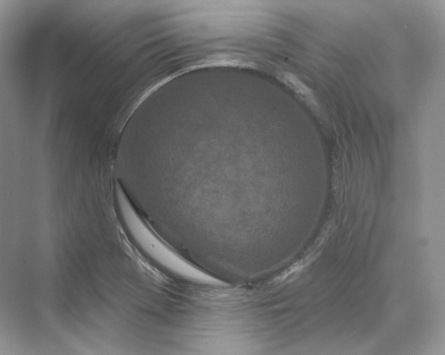 X0000073401369200608111248