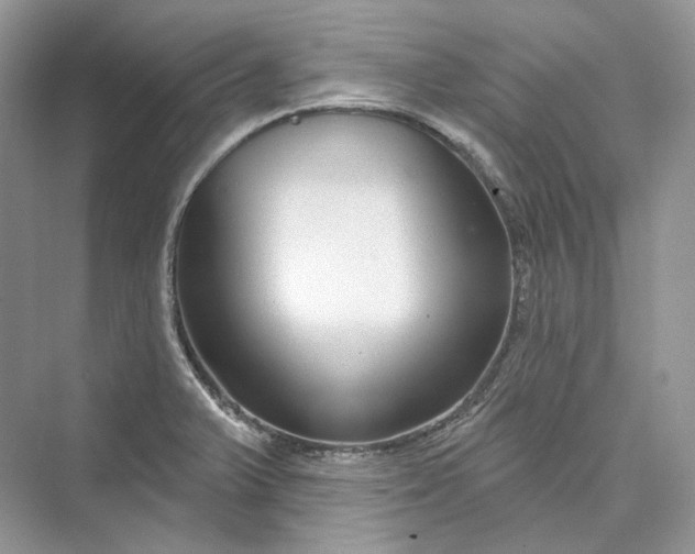 X0000073401375200608111248