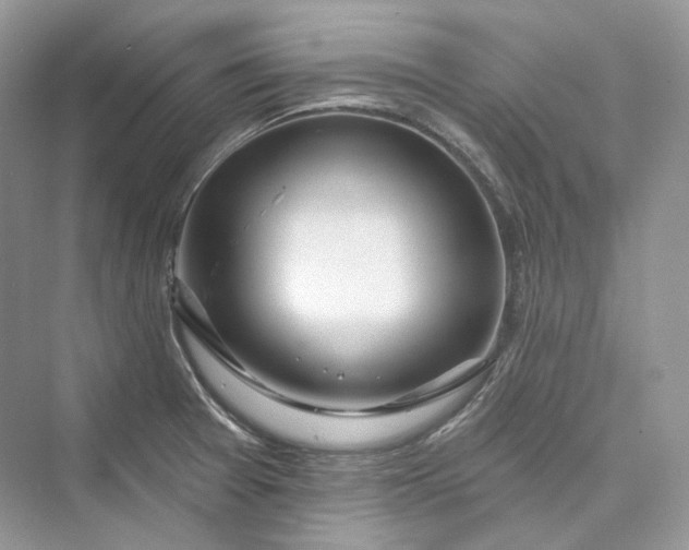 X0000073401377200608111248