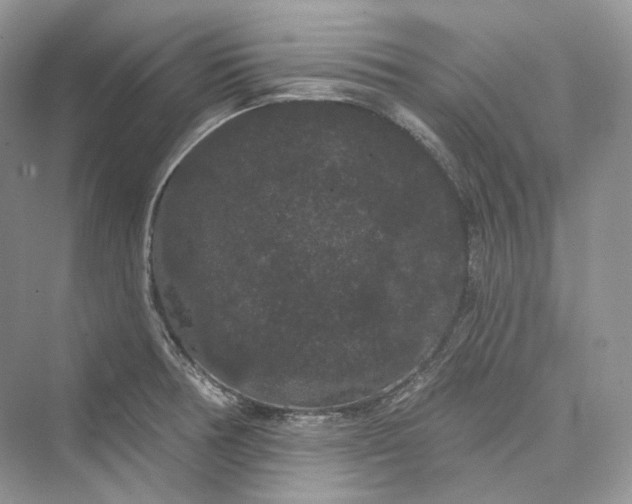 X0000073401378200608111248