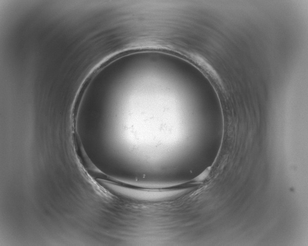 X0000073401380200608111248