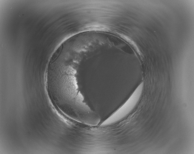 X0000073401383200608111248