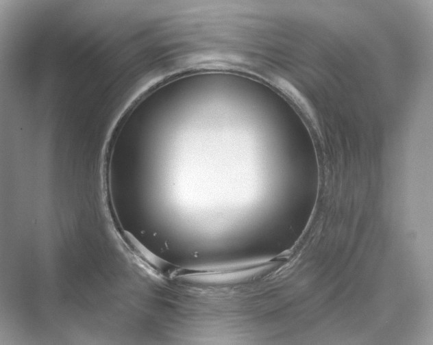 X0000073401384200608111248