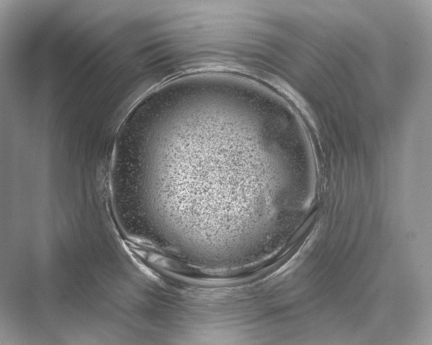 X0000073401385200608111248