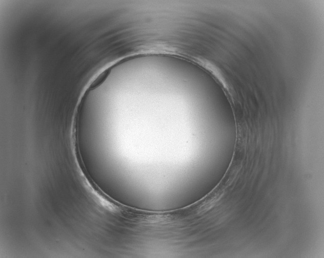 X0000073401387200608111248