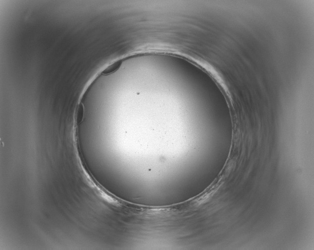 X0000073401390200608111247
