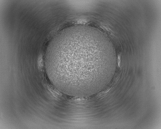 X0000073401395200608111247