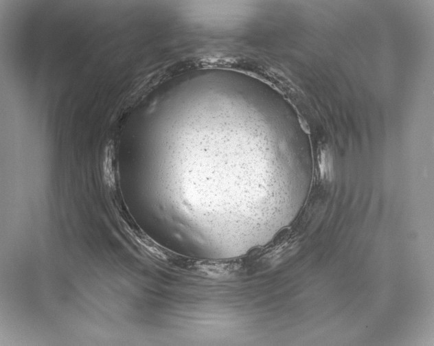 X0000073401396200608111247