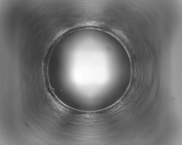 X0000073401404200608111247