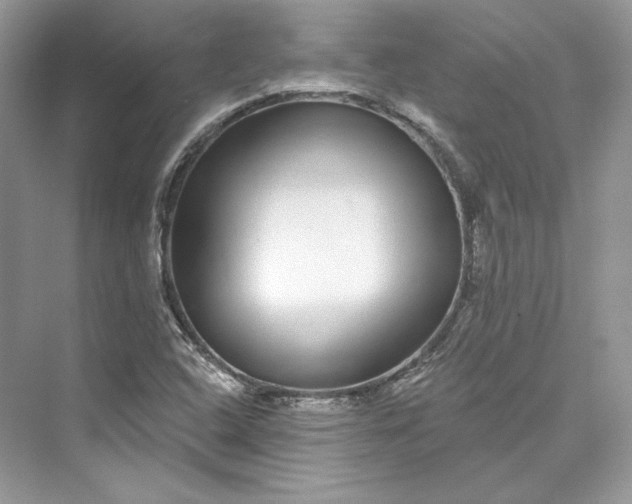 X0000073401408200608111247