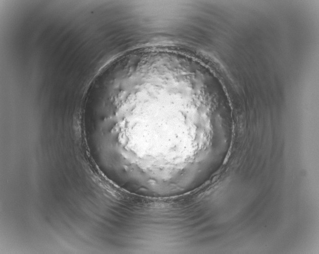 X0000073401409200608111247