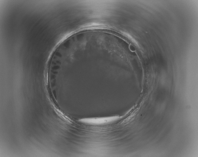 X0000073401413200608111247
