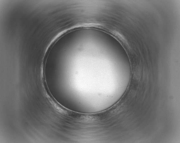 X0000073401420200608111247