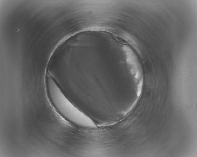 X0000073401428200608111247