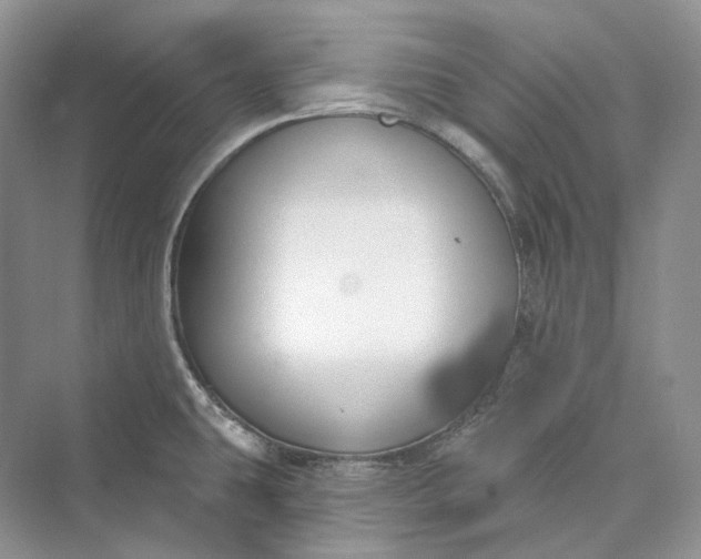 X0000073401431200608111247