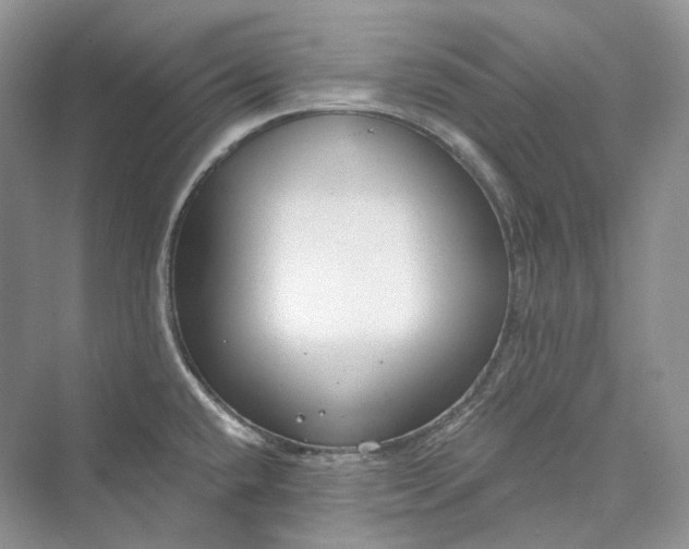 X0000073401432200608111247