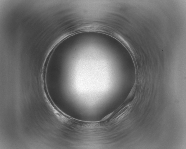 X0000073401434200608111247