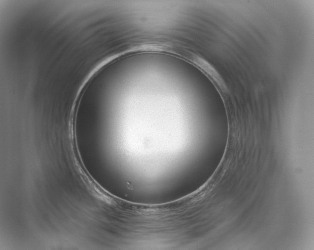 X0000073401436200608111247