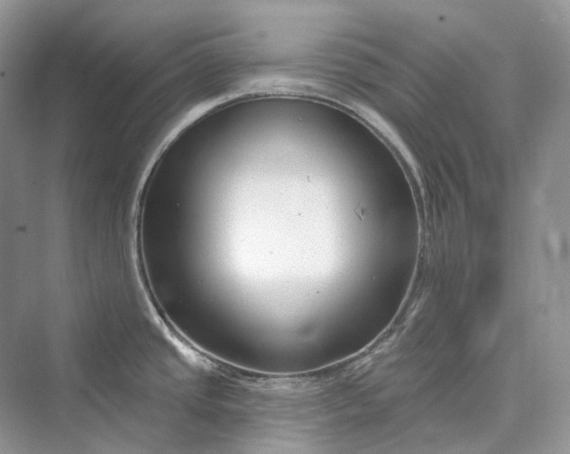 X0000073401437200608111247