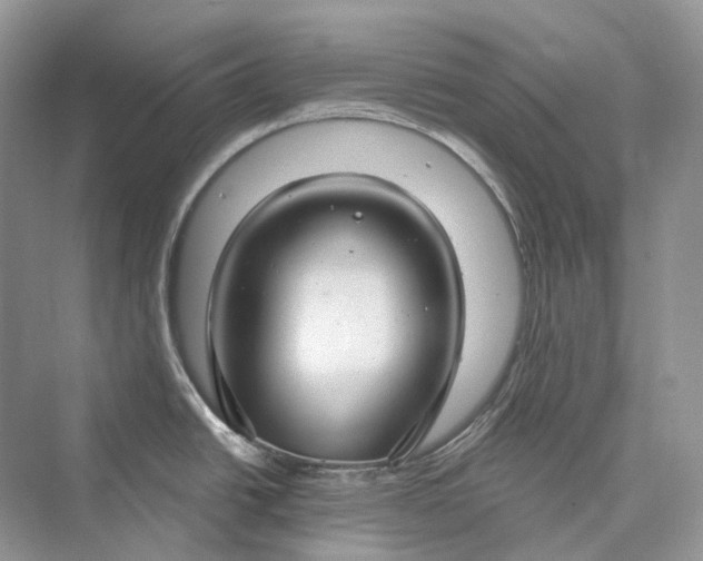 X0000073401438200608111247