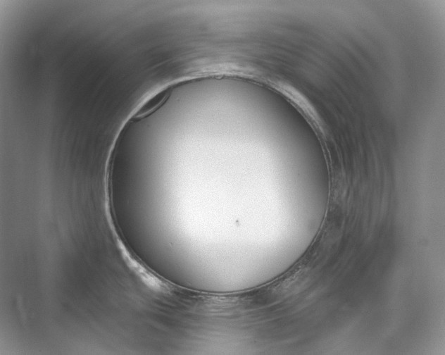 X0000073401439200608111247