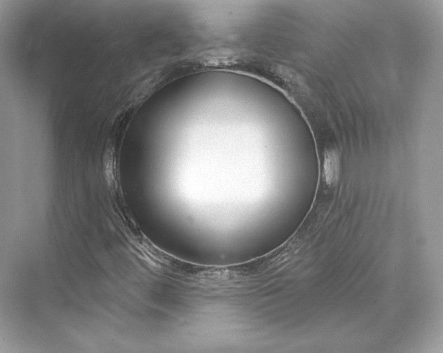 X0000073401444200608111247
