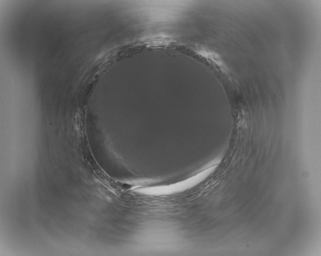 X0000073401445200608111247