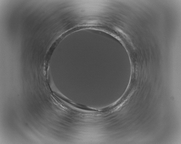 X0000073401449200608111246