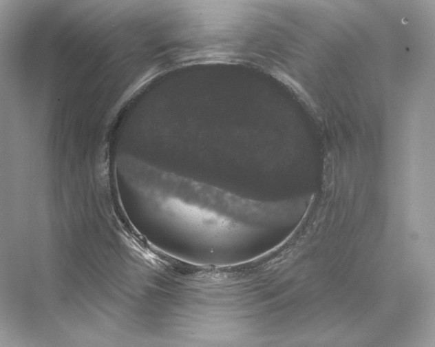 X0000073401450200608111246