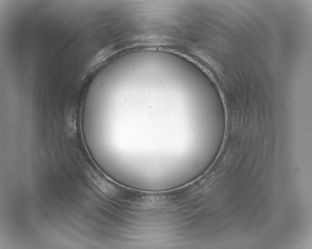 X0000073401451200608111246