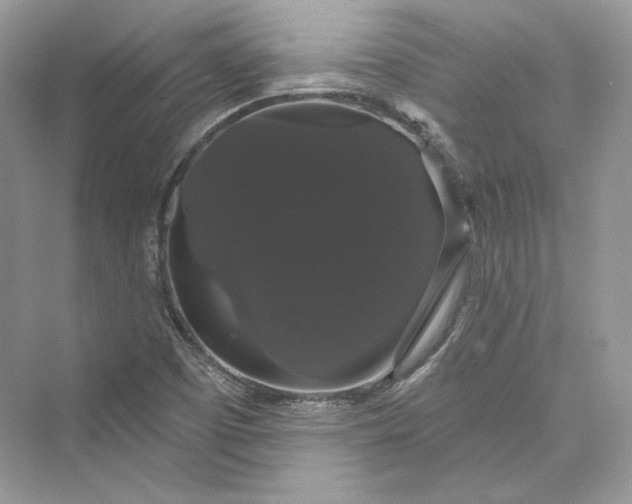 X0000073401457200608111246