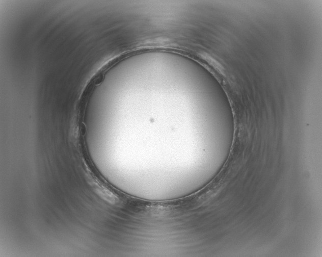 X0000073401458200608111246