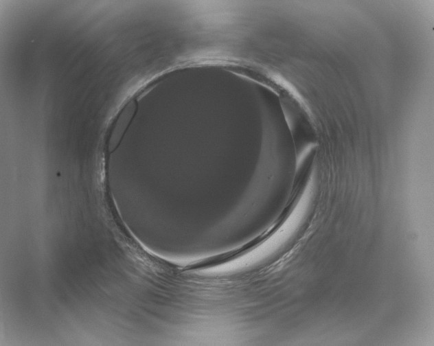 X0000073401461200608111246